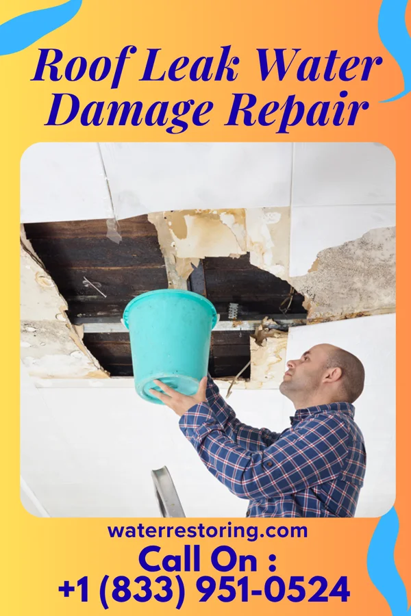 Roof Leak Water Damage Repair in Ringgold, LA